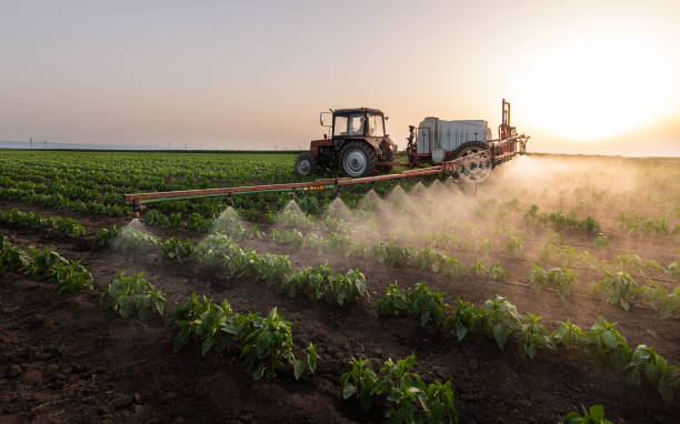 Best Cockroach Control Services  in Bayard, NE