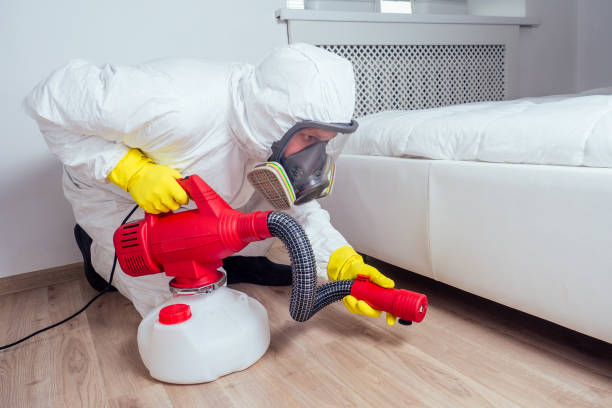 Best Pest Removal Services  in Bayard, NE
