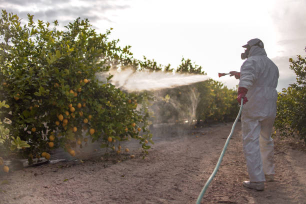 Reliable Bayard, NE Pest Control Solutions