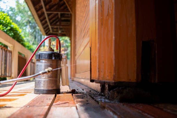 Best Pest Prevention Services  in Bayard, NE