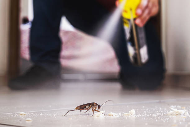 Pest Control for Restaurants in Bayard, NE